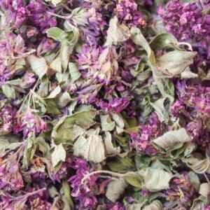 Dry herb Origanum vulgare background