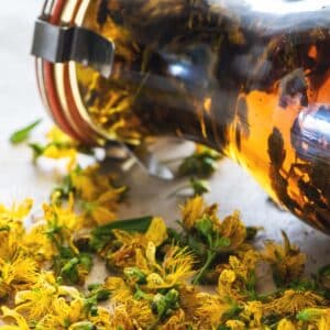 Johanniskrautöl, rotöl, reift in einem Glas