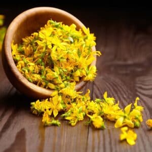 Wooden bowl with fresh hypericum perforatum or St Johns wort flowers on dark wooden background