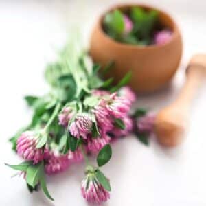 Red clover on a white background near a wooden mortar with a pestle. Manufacture of alternative medicine and geomeopathic medicines