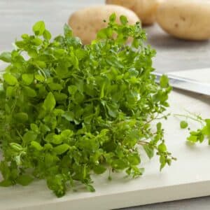 Heap of fresh green chickweed on a cutting board