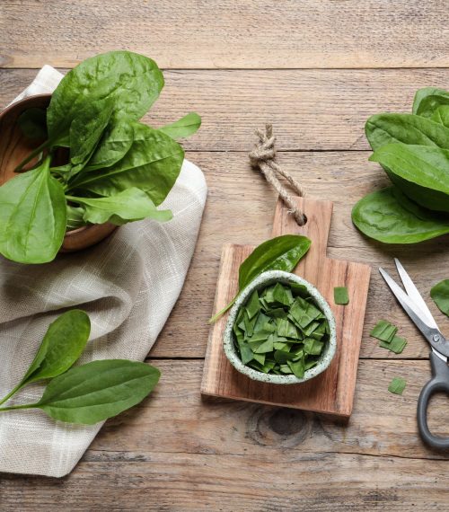 Broadleaf,Plantain,Leaves,And,Scissors,On,Wooden,Table,,Flat,Lay