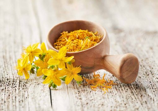 St john's wort plant on old wooden background