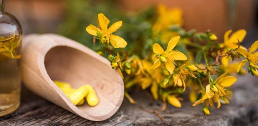 St. John's wort. herbal medical pills. Hypericum plants yellow flower used in alternative medicine in a wooden plate on a vintage table. Medicinal herbs Hypericum for Homeopathic Remedies. Top view