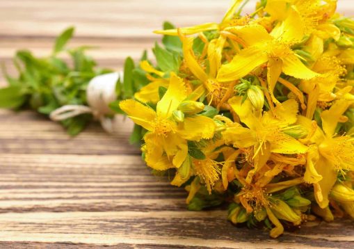 Hypericum flowers, Hypericum perforatum or St John's wort