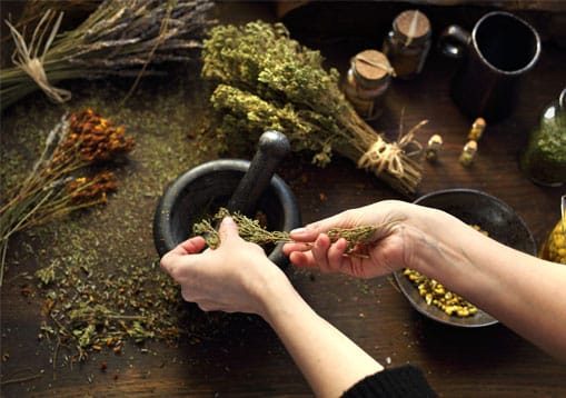 Wildkräuterdoktor-Naturheilmittel-Wildkräuter-Medizin-2