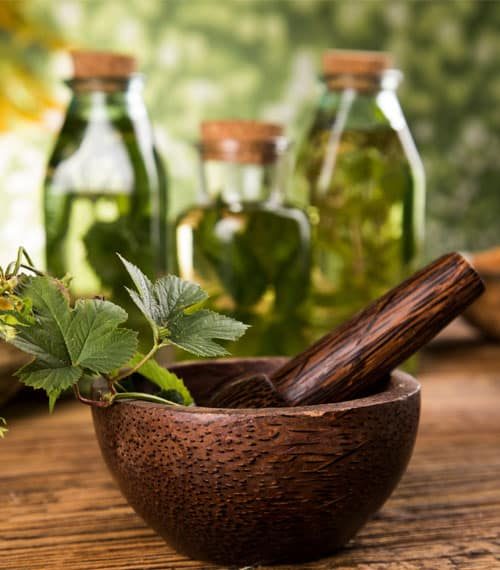 Wildkräuterdoktor-Naturheilmittel-Wildkräuter-Medizin-3