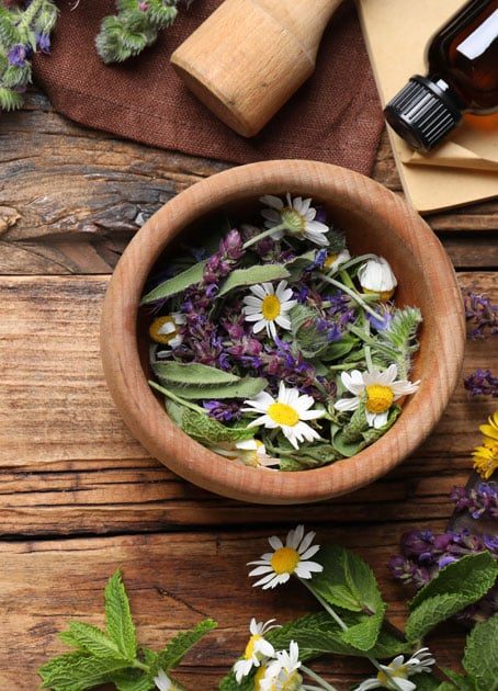 Wildkräuterdoktor-Naturheilmittel-Wildkräuter-Medizin-4